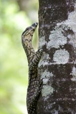 DSC_5753.jpg