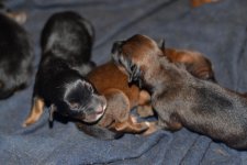 DSC_4272.jpg