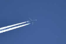 DSC_1068b.jpg