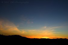 3-8-17-cr_DSC_4997.jpg