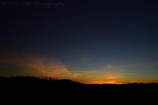 3-8-17-cr_DSC_4998.jpg