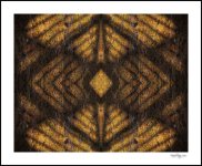 multiplication de l'ombre.jpg