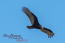 Mid Day Walk-1375.jpg