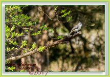 Mid Day Walk-1393-Edit.jpg
