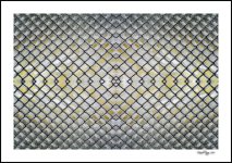 fenced-in web.jpg