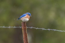 _DSC0263-Edit.jpg