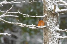 _DSC0337-Edit.jpg
