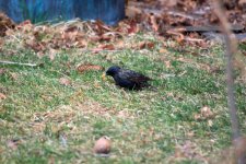 DSC_4589 -1.jpg