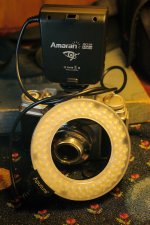 DSC_8651+Amaran Ring Flash -0001_2 SM.jpg