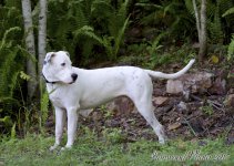 DSC_6012.jpg