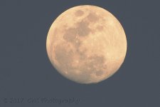 3-10-17-cr__D7K6015.jpg