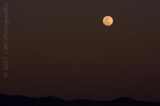 3-11-17-cr__D7K6018.jpg