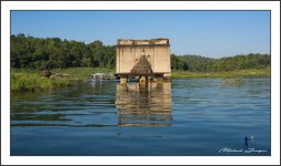 on-boat-5.jpg