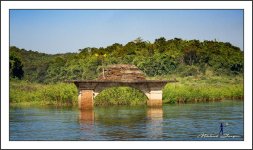 on-the-boat3-2.jpg