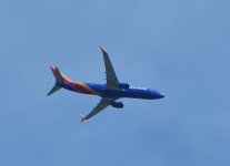 DSC_0010.JPG