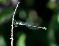 DSC_0023.JPG