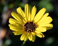 DSC_0025.JPG