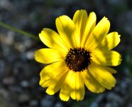 DSC_0061.JPG