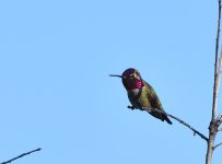 DSC_0070.JPG