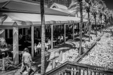 3-16-17 DFB  IR  -1-3BW.jpg