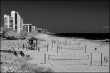 3-16-17 DFB  IR  -1-4BW.jpg