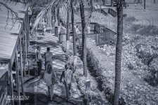 3-16-17 DFB  IR  -1-7.jpg