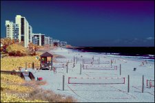 3-16-17 DFB  IR  -1-4.jpg