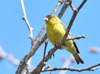 DSC_0103.JPG