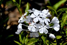 DSC_0114.JPG