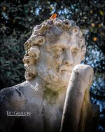 3-9-17 Palm Beach to Vizcaya II -40-2.jpg