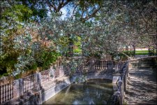 3-9-17 Palm Beach to Vizcaya II -40-5.jpg