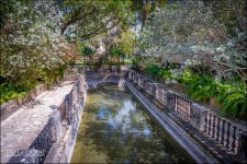 3-9-17 Palm Beach to Vizcaya II -40-6.jpg