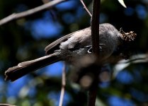 DSC_0124.JPG
