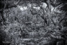 3-9-17 Palm Beach to Vizcaya II -40-9-40-9BW.jpg