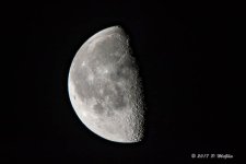 D73_0666-2.jpg