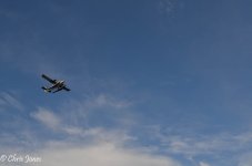 DSC_3748_5390.jpg