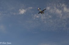 DSC_3749_5391.jpg