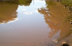 3-19-17-cr_DSC_5156.jpg