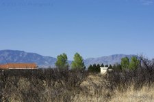 3-20-17-CR__D7K6141.jpg