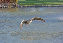 DSC_8198.jpg