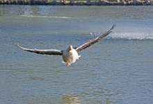 DSC_8201.jpg