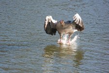 DSC_8207.jpg