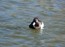 DSC_8149.jpg