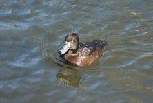 DSC_8176.jpg