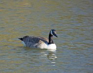 DSC_8146.jpg