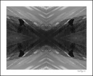 DSCF6062.jpg