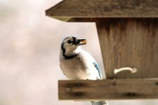 DSC_3318w.jpg