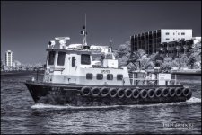 3-16-17 DFB IR 40-6-40-9BW.jpg