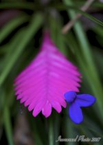 DSC_6203.jpg