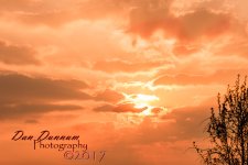 Morning Light-1540.jpg